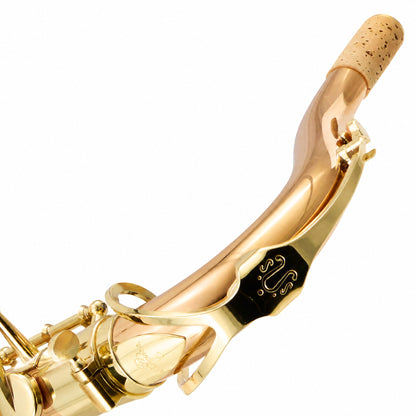 Yanagisawa TWO2 Professional Bb Tenor Saxophone in Lacquered Bronze SN 00420803