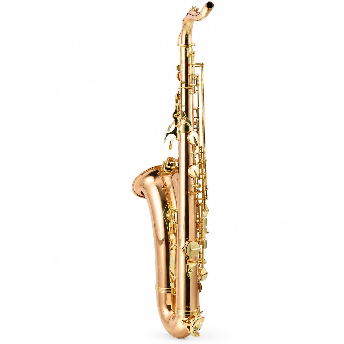 Yanagisawa TWO2 Professional Tenor Saxophone in Lacquered Bronze