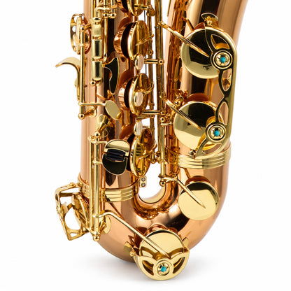 Yanagisawa TWO2 Professional Tenor Saxophone in Lacquered Bronze
