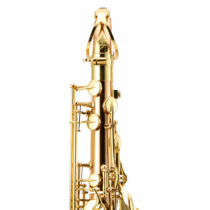 Yanagisawa TWO2 Professional Tenor Saxophone in Lacquered Bronze