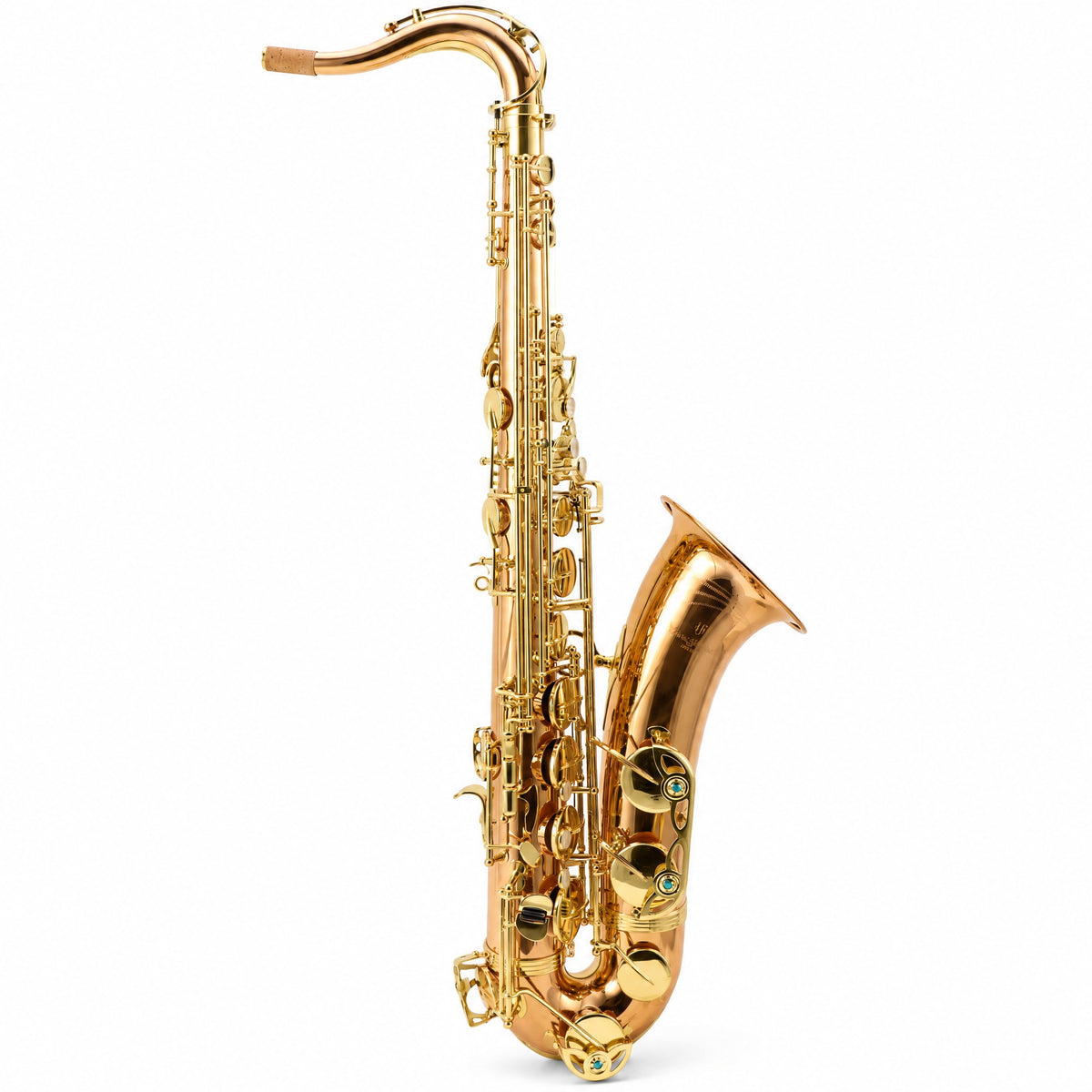 Yanagisawa TWO2 Professional Tenor Saxophone in Lacquered Bronze