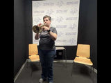 Bach Model BTR301 Student Bb Trumpet MINT CONDITION