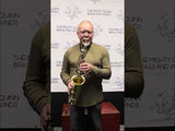 Selmer Model SAS301 Student Alto Saxophone MINT CONDITION