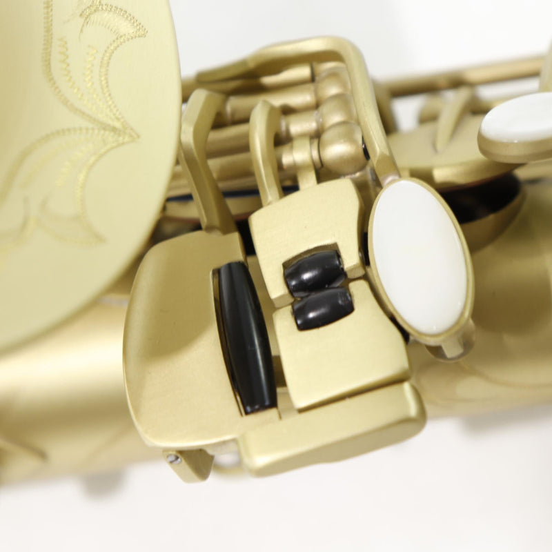 Antigua Winds Model AS4248CB 'Powerbell' Alto Saxophone in Classic Brass Finish BRAND NEW- for sale at BrassAndWinds.com