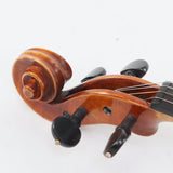Glaesel Model VAG3E15 'Otto Glaesel' 15 Inch Professional Viola - Viola Only - BRAND NEW- for sale at BrassAndWinds.com