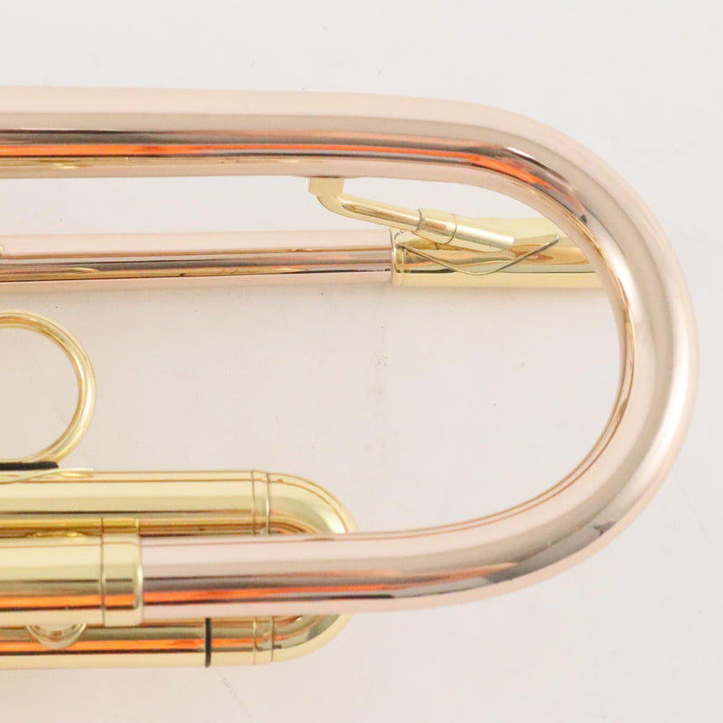 P. Mauriat Model PMT-75TLB Professional Bb Trumpet BRAND NEW- for sale at BrassAndWinds.com